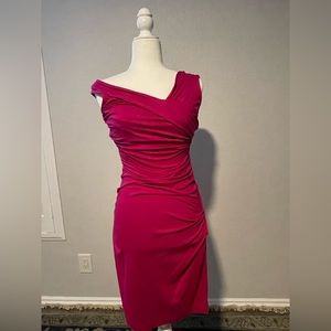 Diane Von Furstenberg Magenta Ruched Dress